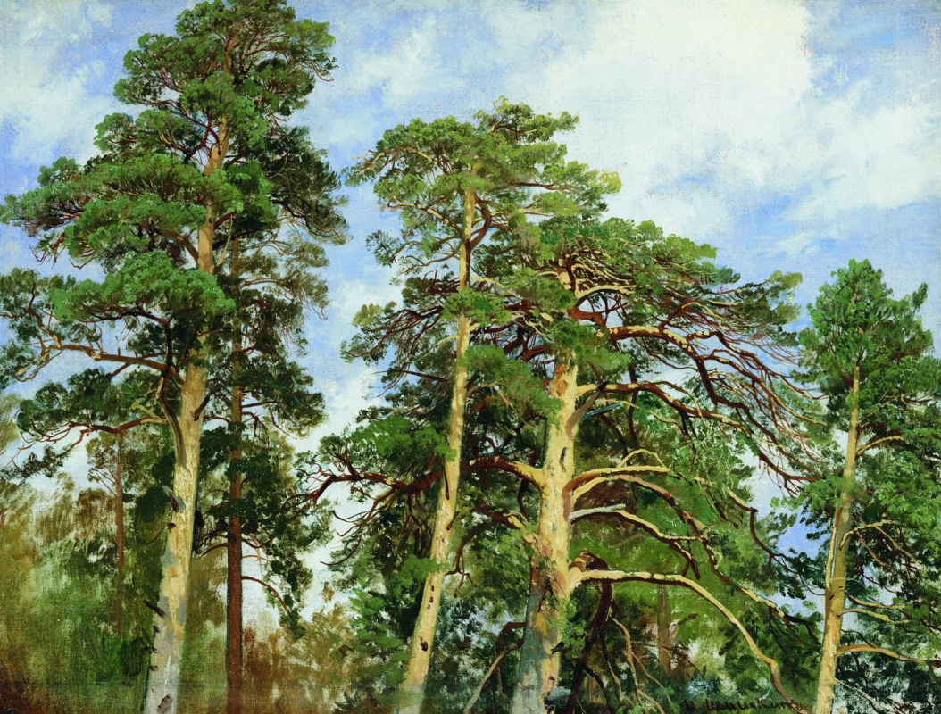 Ivan Shishkin. The tops of the pines