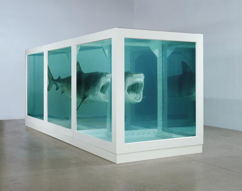 Damien Hirst. The Physical Impossibility of Death in the Mind of Someone Living