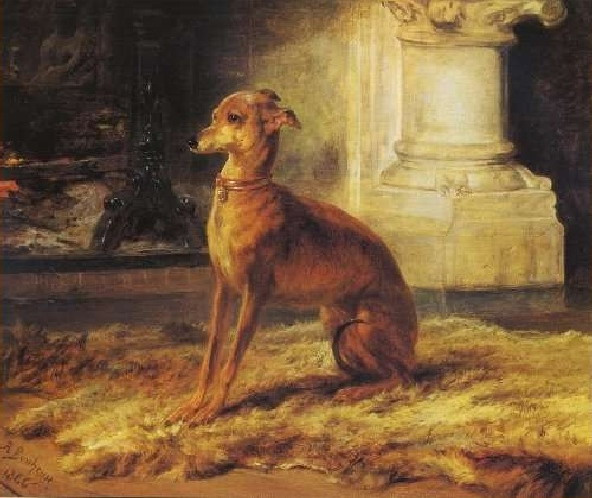English Greyhound (Greyhound by the fireplace)