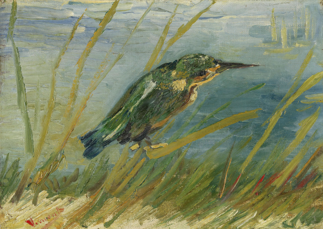 Vincent van Gogh. Kingfisher by the water