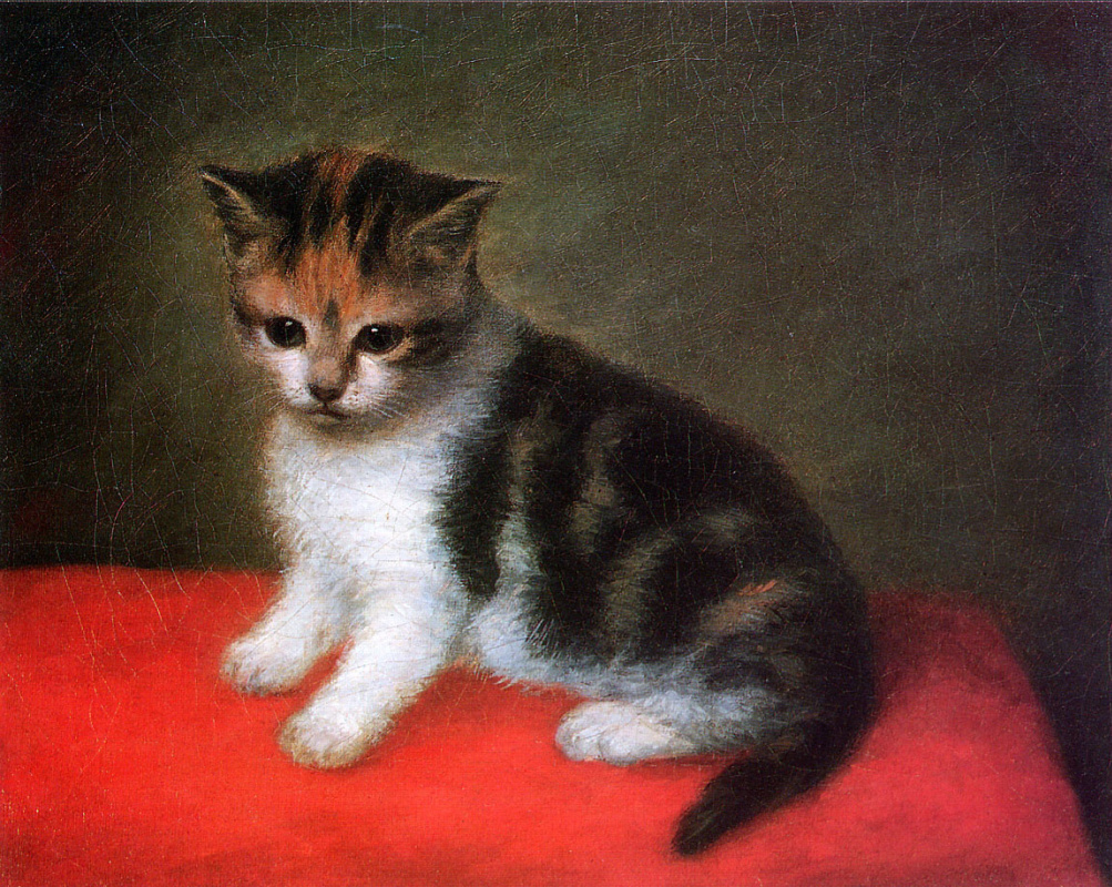 George Stubbs. Kitten miss Ann white