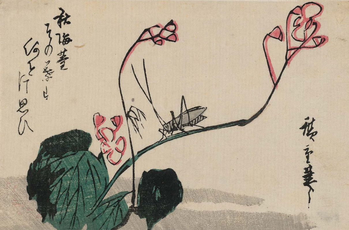 Utagawa Hiroshige. Heuschrecke und Begonie