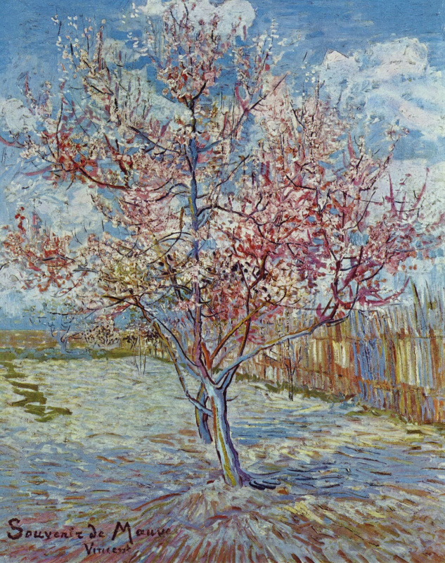 Винсент Ван Гог. Персиковое дерево в цвету
