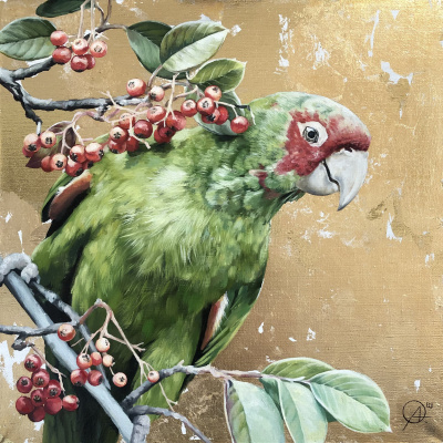 Ольга Шацкая. Индийский кольчатый попугай Ольга Шацкая. Индийский кольчатый попугай