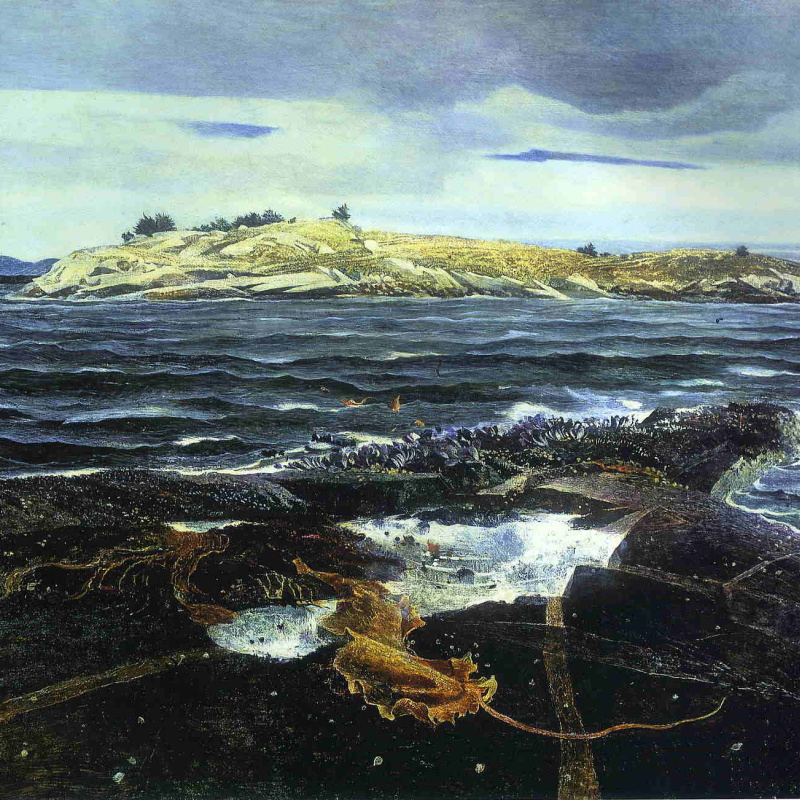Thin ice, 1969 by Andrew Wyeth: History, Analysis & Facts | Arthive