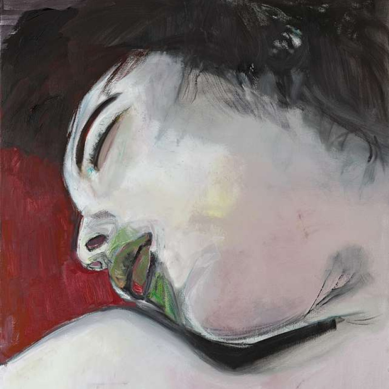Marlene Dumas (born in 03.08.1953) - Biography, Interesting Facts