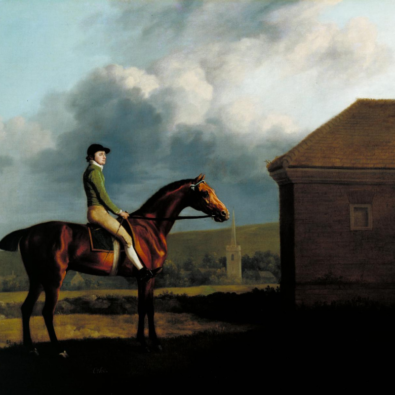 Federa Cuscino 30x50 Cm Tela Pittura George Stubbs Cavalle E Puledri Multicolore