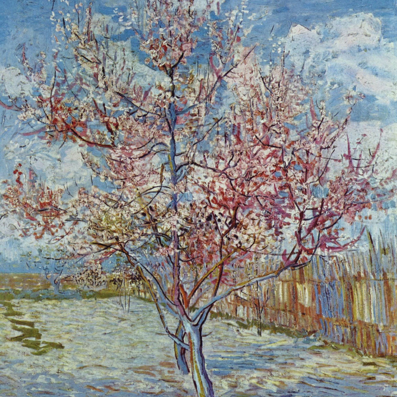 Portrait of Joseph Roulin (option), 4 1889, 54×65 cm by Vincent